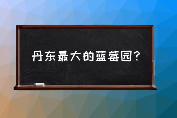 丹东天赐蓝莓基地在哪 丹东最大的蓝莓园？