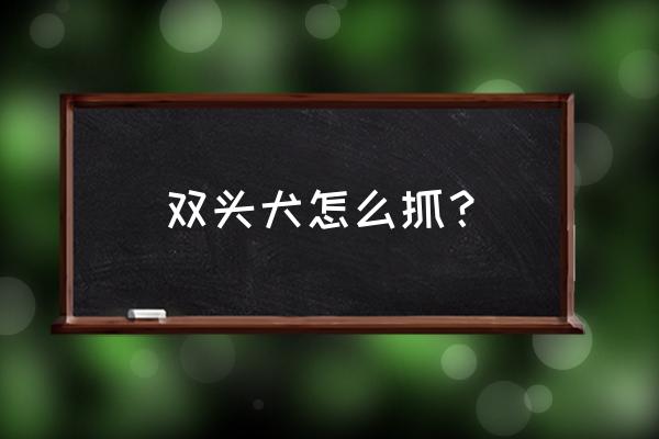 魔兽世界绿色双头狗宠物怎么来 双头犬怎么抓？