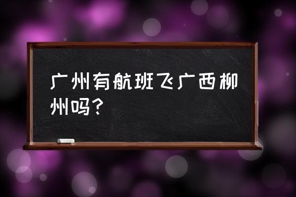 湛江到柳州有飞机吗 广州有航班飞广西柳州吗？