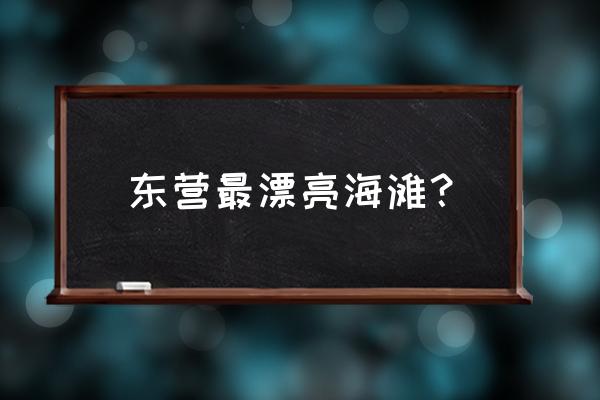 山东东营海边哪里好玩的地方 东营最漂亮海滩？