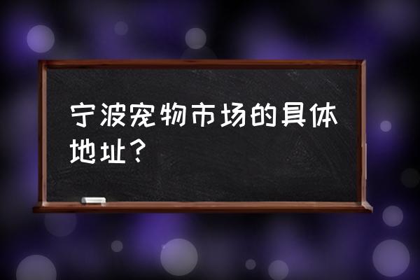 宁波宠物用品批发市场在哪 宁波宠物市场的具体地址？