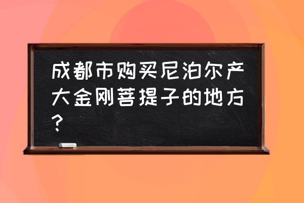 国内哪有金刚菩提批发市场 成都市购买尼泊尔产大金刚菩提子的地方？