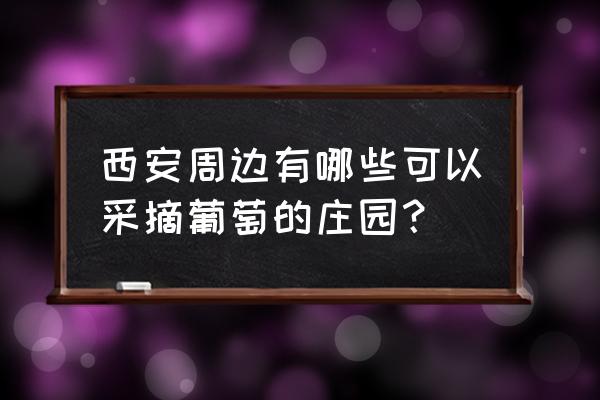 咸阳周边哪有葡萄园 西安周边有哪些可以采摘葡萄的庄园？