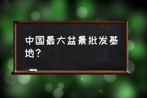 开盆栽花卉批发到哪去进货 中国最大盆景批发基地？