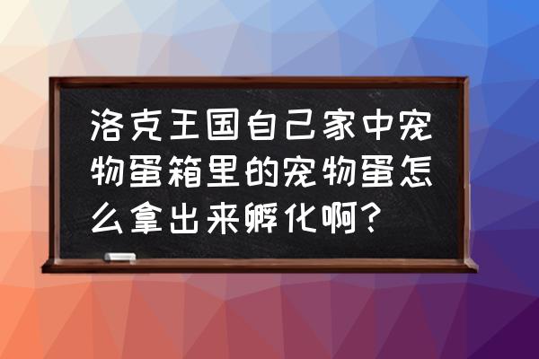 洛克王国宠物蛋商店的蛋怎么孵化 洛克王国自己家中宠物蛋箱里的宠物蛋怎么拿出来孵化啊？