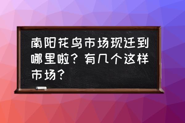 河南南阳哪里有活禽批发市场 南阳花鸟市场现迁到哪里啦？有几个这样市场？