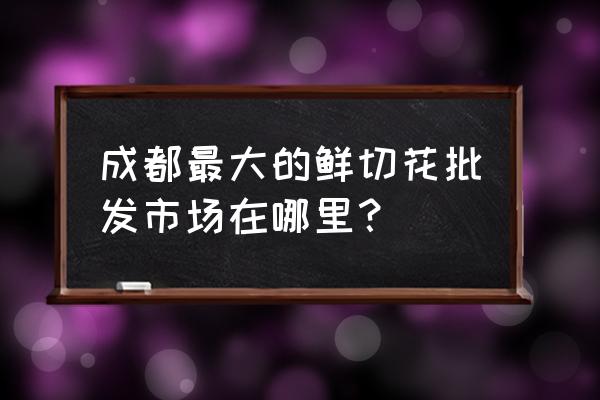 成都白家鲜花批发市场在哪里 成都最大的鲜切花批发市场在哪里？