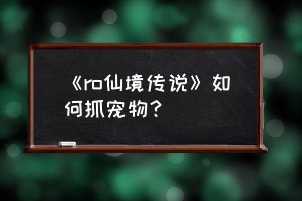 仙境传说迷藏森林怎么走 《ro仙境传说》如何抓宠物？