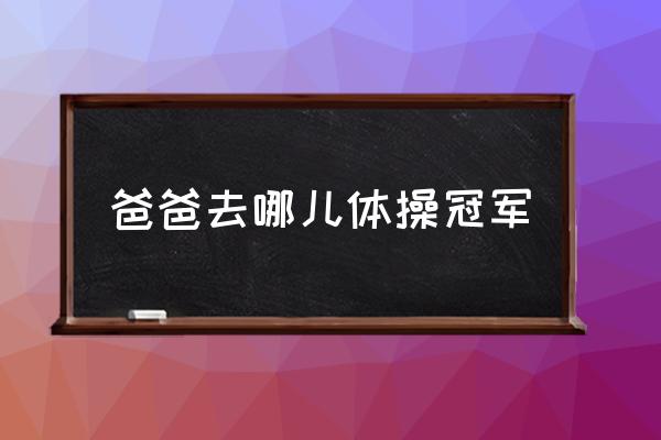 爸爸去哪儿包头 爸爸去哪儿体操冠军