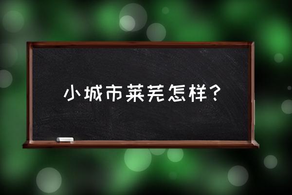 山东莱芜为什么这么穷 小城市莱芜怎样？