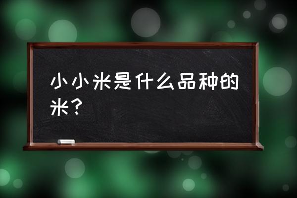 晋城的黄小米怎么样 小小米是什么品种的米？