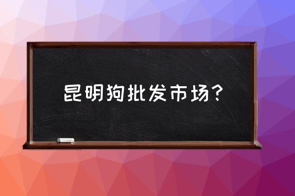 昆明哪里有宠物批发市场 昆明狗批发市场？