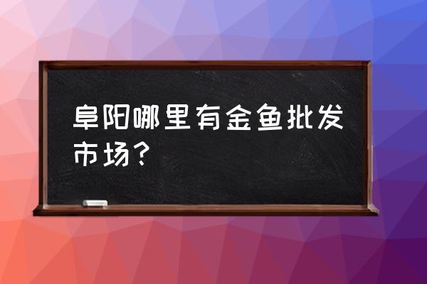 阜阳市花卉批发市场在哪里 阜阳哪里有金鱼批发市场？