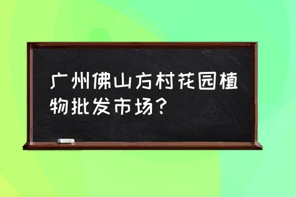 广州芳村苗木批发市场在哪 广州佛山方村花园植物批发市场？