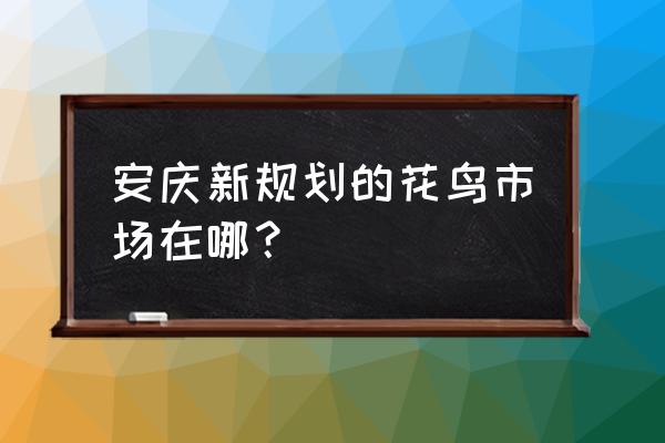 安庆花卉批发在哪里 安庆新规划的花鸟市场在哪？