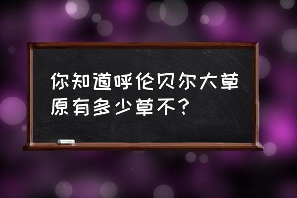 呼伦贝尔大草原最高的草在哪里 你知道呼伦贝尔大草原有多少草不？