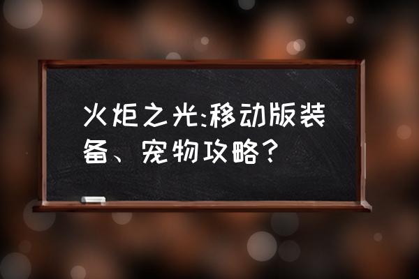 火炬之光怎么玩地图工坊 火炬之光:移动版装备、宠物攻略？