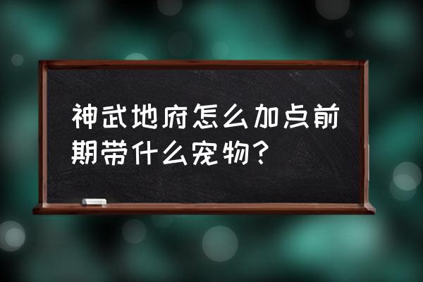 神武3怎么选宠物 神武地府怎么加点前期带什么宠物？