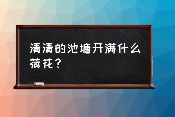 什么池塘开满什么荷花类似的填空 清清的池塘开满什么荷花？