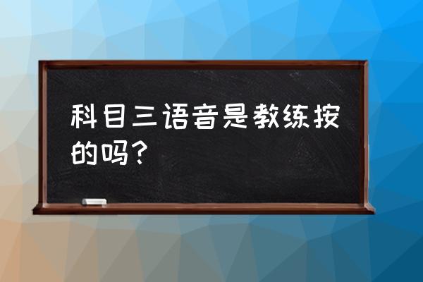 考米语音怎么样 科目三语音是教练按的吗？