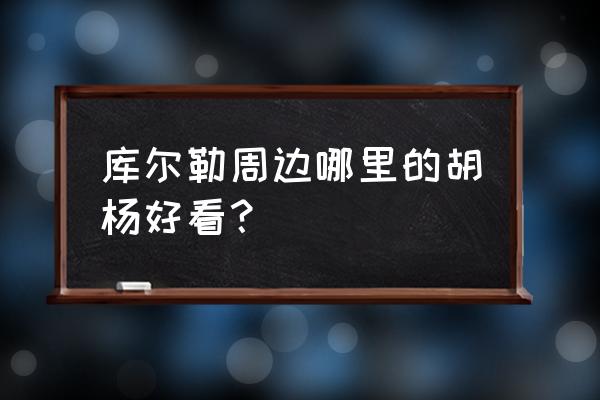 胡杨林最惊艳的地方 库尔勒周边哪里的胡杨好看？