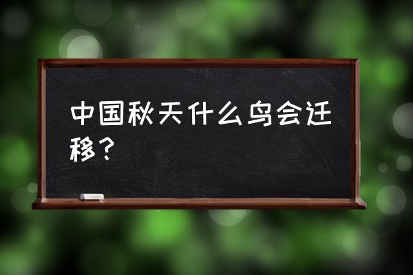 冬天迁徙的动物有哪几种 中国秋天什么鸟会迁移？