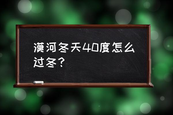 漠河冬天多少度最好 漠河冬天40度怎么过冬？