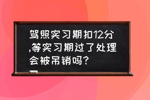 扣12分超过1个月没处理怎么办 驾照实习期扣12分,等实习期过了处理会被吊销吗？