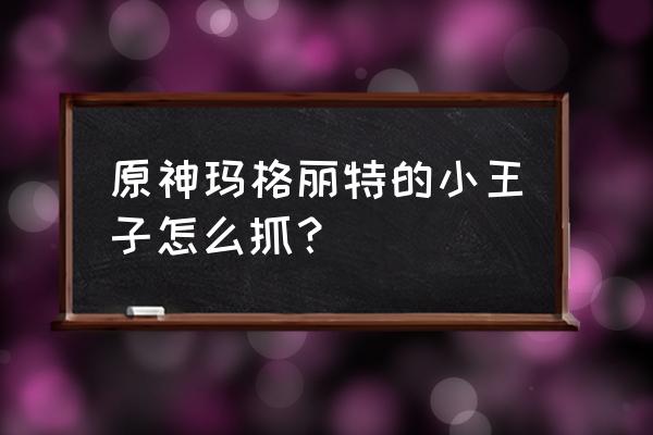 原神寻找小王子的猫怎么抓 原神玛格丽特的小王子怎么抓？