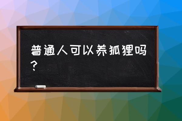 迷你世界狐狸怎样被驯服 普通人可以养狐狸吗？