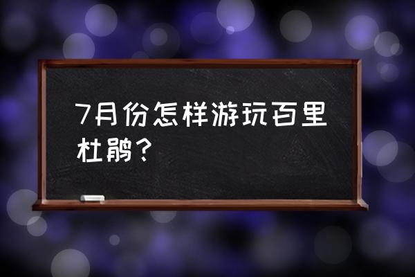 百里杜鹃一日游路线图 7月份怎样游玩百里杜鹃？