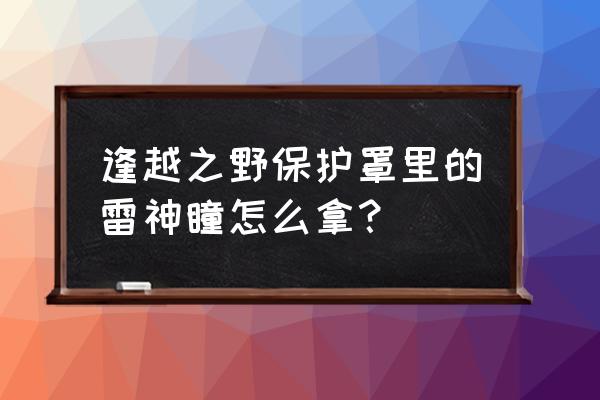 影向山华丽宝箱 逢越之野保护罩里的雷神瞳怎么拿？