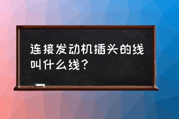 为什么叫线束 连接发动机插头的线叫什么线？