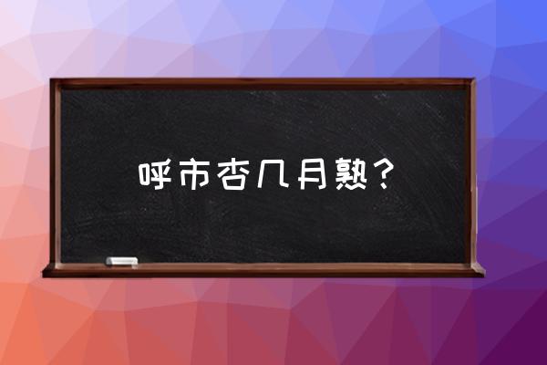 呼和浩特几月份去最好 呼市杏几月熟？