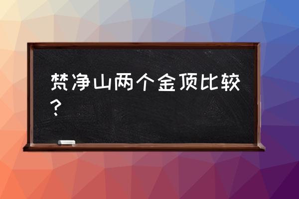 天空之城梵净山旅游攻略 梵净山两个金顶比较？