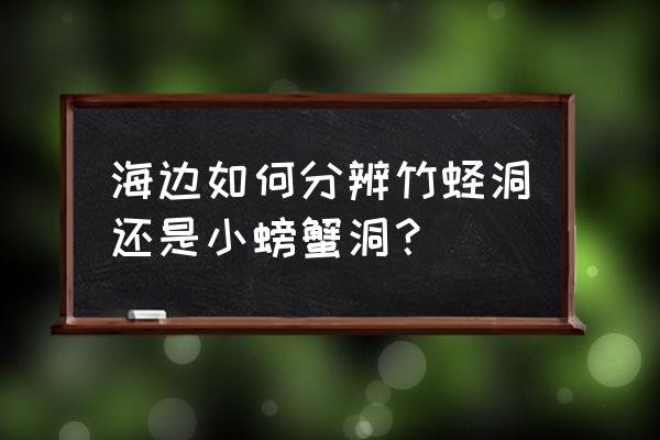 赶海怎样识别青蟹洞 海边如何分辨竹蛏洞还是小螃蟹洞？