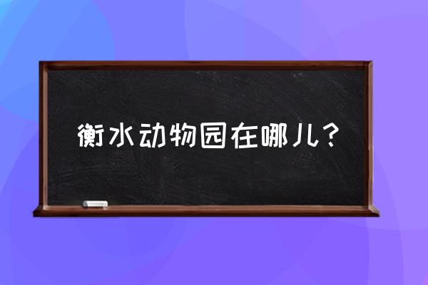 衡水野生动物园怎么样 衡水动物园在哪儿？