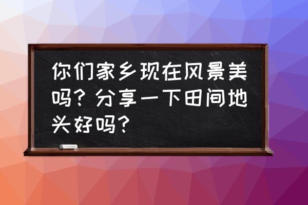 桃花村前往地下宝库 你们家乡现在风景美吗？分享一下田间地头好吗？