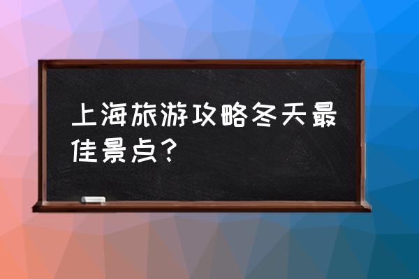 上海魔都十大旅游攻略 上海旅游攻略冬天最佳景点？