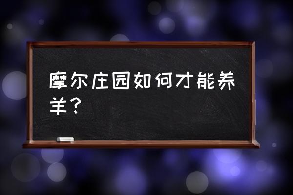 摩尔庄园手游怎么战斗 摩尔庄园如何才能养羊？