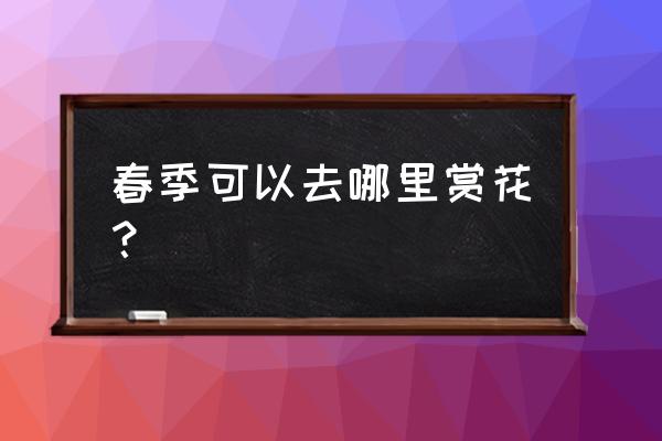 上海这个季节赏花哪里最佳 春季可以去哪里赏花？