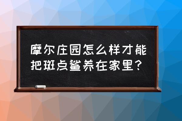 摩尔庄园斑点鲨在哪里掉 摩尔庄园怎么样才能把斑点鲨养在家里？