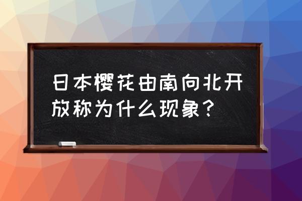 樱花前线最新信息 日本樱花由南向北开放称为什么现象？