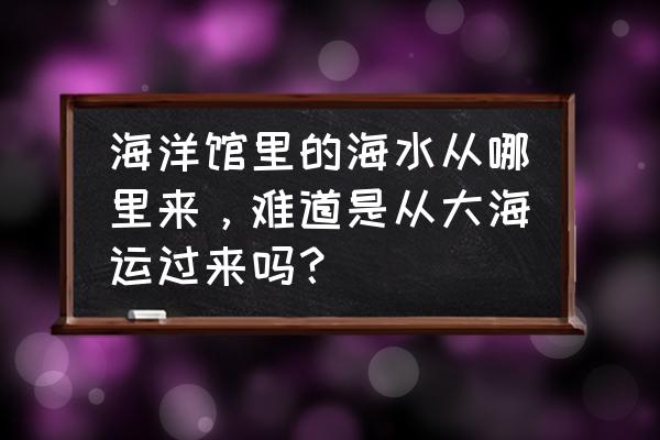 海里游泳要准备哪些东西 海洋馆里的海水从哪里来，难道是从大海运过来吗？