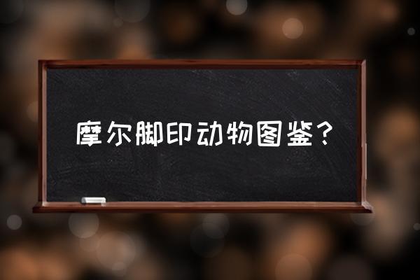 摩尔庄园脚印领取了没有奖励 摩尔脚印动物图鉴？