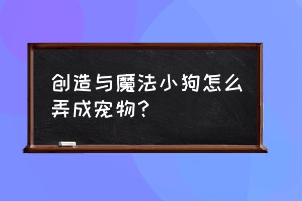 创造与魔法怎么删除宠物 创造与魔法小狗怎么弄成宠物？