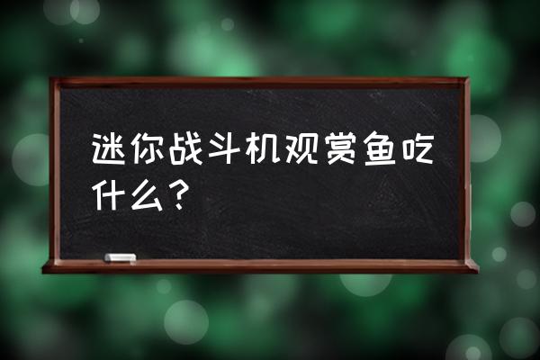 迷你世界中鸡用什么饲料 迷你战斗机观赏鱼吃什么？