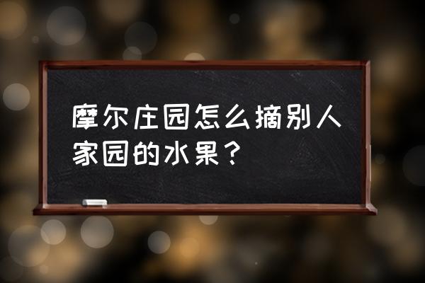 摩尔庄园手游偷菜教学 摩尔庄园怎么摘别人家园的水果？